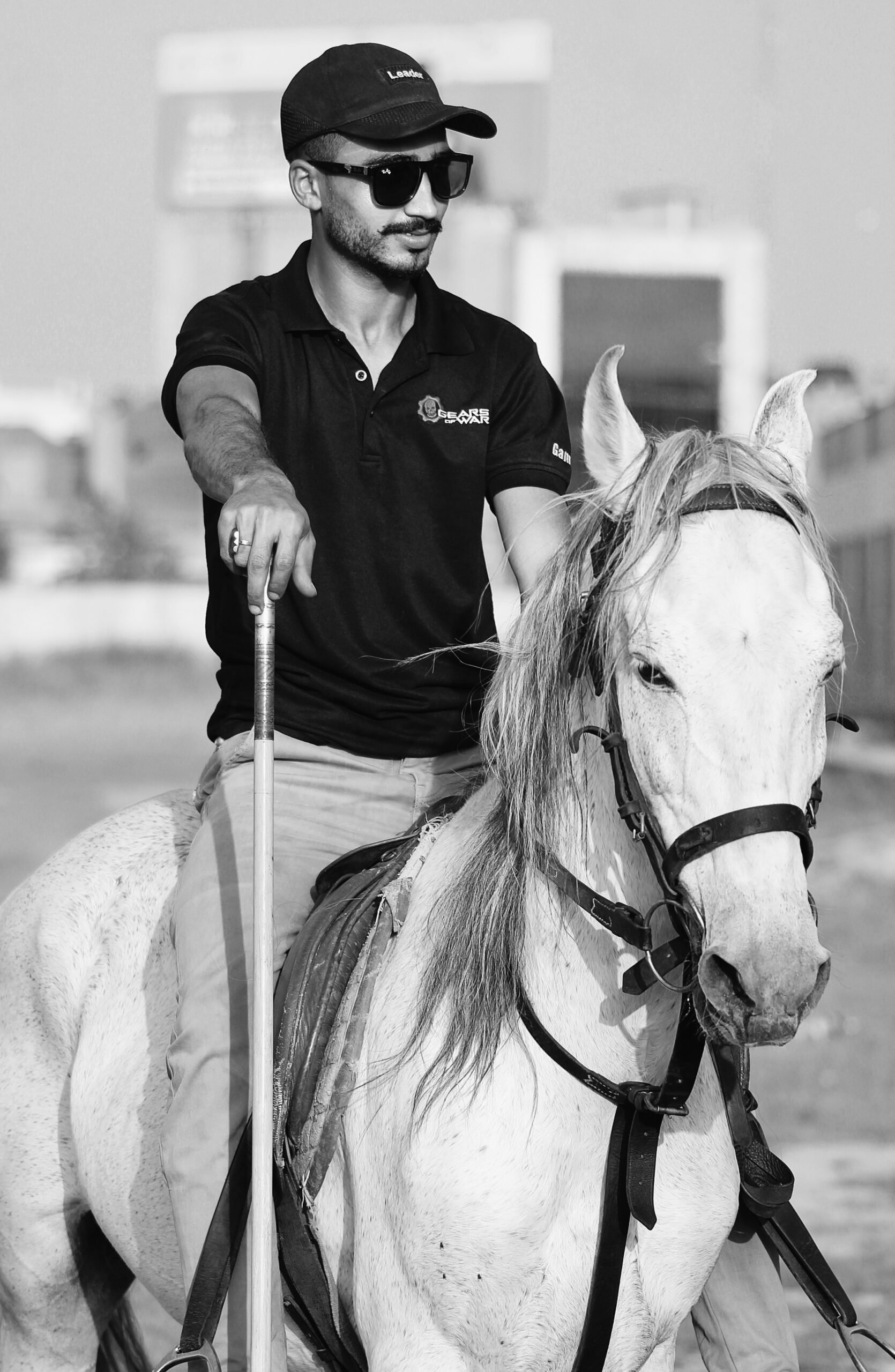 International Horse Rider